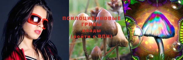 эйфоретик Мегион