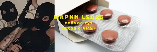 гашик Медногорск