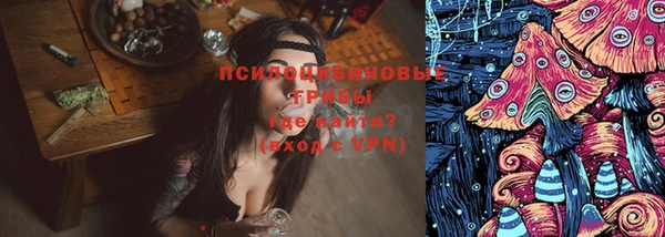 мет Медвежьегорск